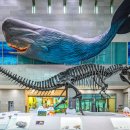 트루돈 | 나혼자산다 이주승 공룡 자연사박물관 알아보기