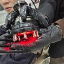 (릴렉스) 뷰티 마사지 | 강남역 미용실 추천 박준 뷰티랩 유니 부원장님께 받은 스케이링 두피케어 후기