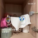 해랑동물병원 | [25.04] 3.31-4.6일 예쁜 꽃이 많은 봄날들
