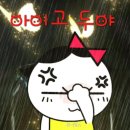 <b>바가지</b> <b>머리</b>로 잘라 주세요