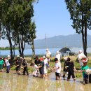 광주북초교 이미지