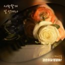 디케이 이미지