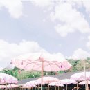 핑크비치 이미지