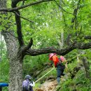 참사랑목장 이미지