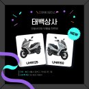 태백모터스 이미지