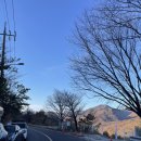 중앙농장 | 울산 간월재 11월 억새 막차 탑승 간월재 휴게소, 사슴농장 최단 코스 후기