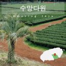 남원읍-84 이미지