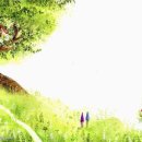 니하오 중국어 이미지