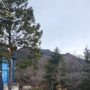 소풍길 | 양산맛집 백동소풍가는길 양산점 방문 후기