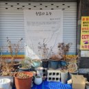 도원동동식당 이미지