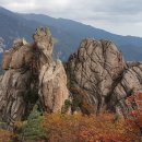 설악산 흘림골 이미지