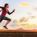 짐헥사곤 이미지