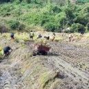 삼척시농업기술센터(원덕) 이미지
