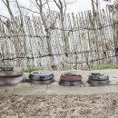 김치로L 이미지