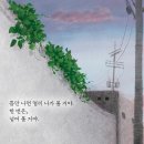 마쉬테라피