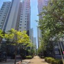 신도세탁소 이미지