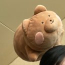 새미골할머니고래협동조합 | 10(면허·여권·학생증/스파크랜드/동촌유원지/연꽃축제)