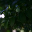 죽백6로 이미지