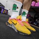 크로스핏 다이노소어 이미지