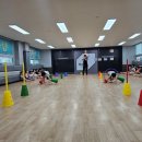 참교육태권도 이미지
