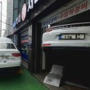 막내카써비스 이미지