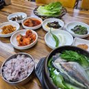 제주공항 근처 맛집 제주향토음식 정성듬뿍제주국 각재기국 멜튀김 식객허영만 내돈내산 후기