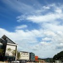 금산인삼관 이미지