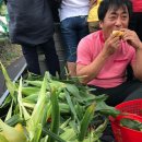 용흥농장 이미지