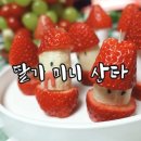 과일산타
