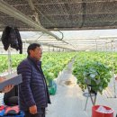 거제시농업기술센터 이미지