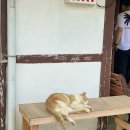 시골백반 이미지