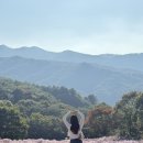[문경 데이트코스] 문희농원 후기