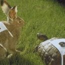 NO.1 피트니스 이미지