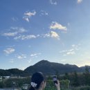 미도자동차공업사 이미지