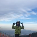 경희대 대성 태권도장 이미지