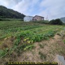 월가공인중개사사무소 이미지