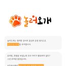 놀러오개 애견유치원 애견호텔 강남점 네이버블로그