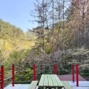 백담 새소리 펜션 이미지