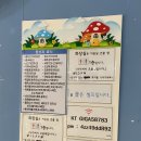 대전해오름 | 대전 돈까스 장대동맛집 '해오름 돈까스' 깔끔담백 경양식+피자 ?