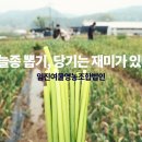 임진여울영농조합법인