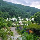 산에는 꽃이피네민박 | 원주 금대리 카페 추천 산에는 꽃이 피네