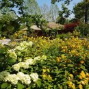 약초마을 이미지