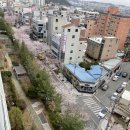 밀양떡방앗간 - 남구 대학로27번길 12-1 | 밀양떡방앗간