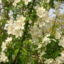 풍경안에서 이미지