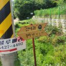 산아래농장 | 군포 농장 체험후기: 산아래블루베리농장 | 블루베리 수확하며 일일 농사꾼이 되어보자!