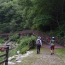 방화동 생태길 이미지