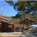 소선암자연휴양림 이미지