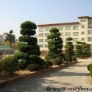 울산서여자중학교 이미지