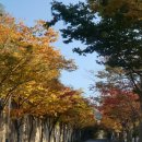 창신대학교 부동산경영대학원 Daum카페