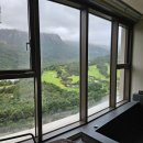 소노펠리체 델피노 이미지